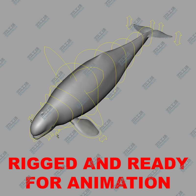 images/goods_img/202104092/Aquatic Animals Collection/2.jpg